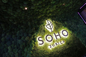 14.Logo_Soho
